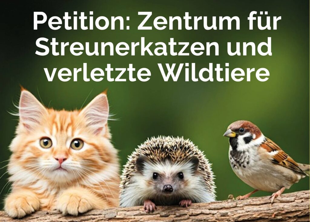 Petition für ein Versorgungszentrum für Streuner, verletzte oder ausgesetzte Tiere wie Katzen, Igel, Vögel.